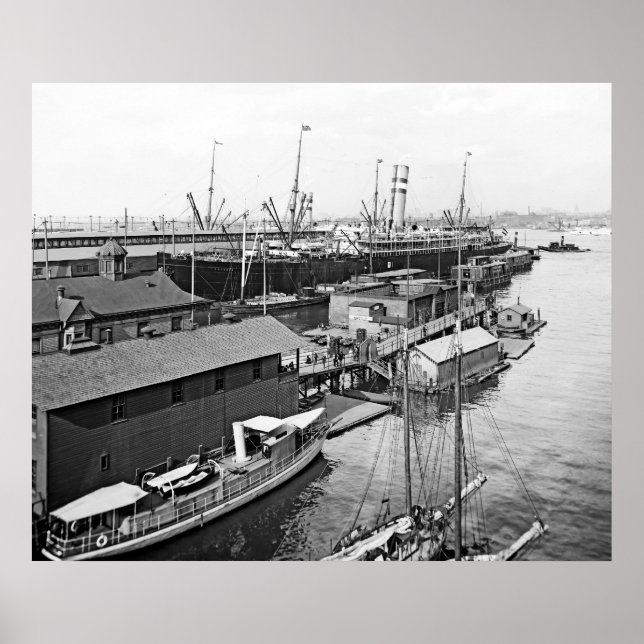 Affiches Ligne Holland America (Devant)