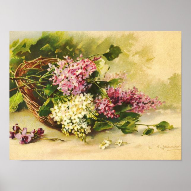 Affiches Lilacs dans un panier par Catherine Klein Imprimer (Devant)