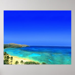 Affiches L'île tropicale