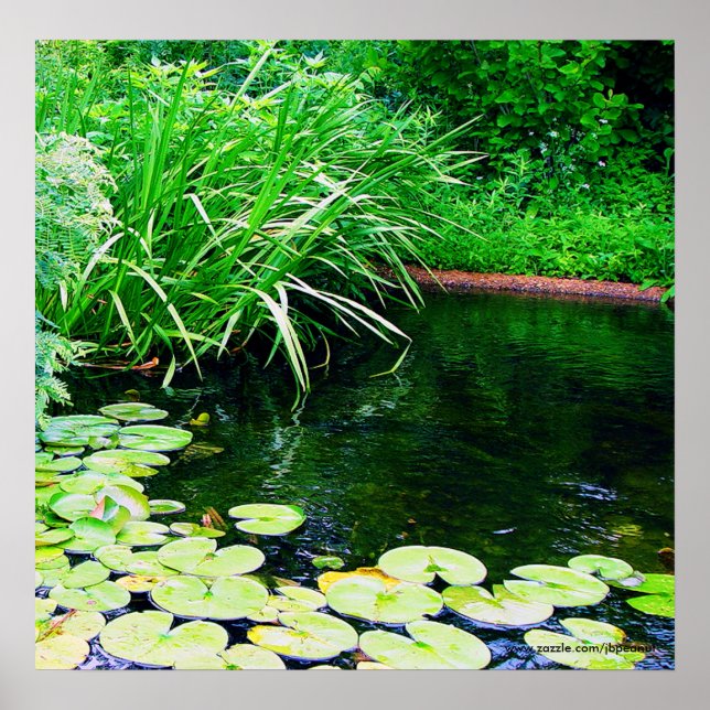 Affiches lilly pond, www.zazzle.com/jbpeanut (Devant)