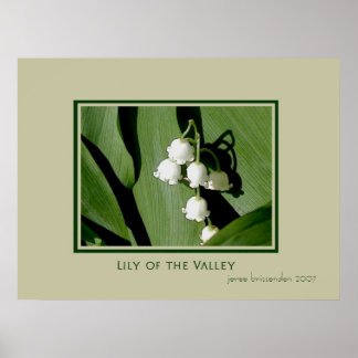Affiches Lily of the Valley