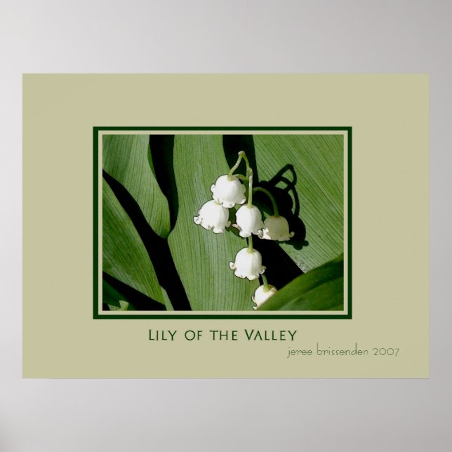 Affiches Lily of the Valley (Devant)