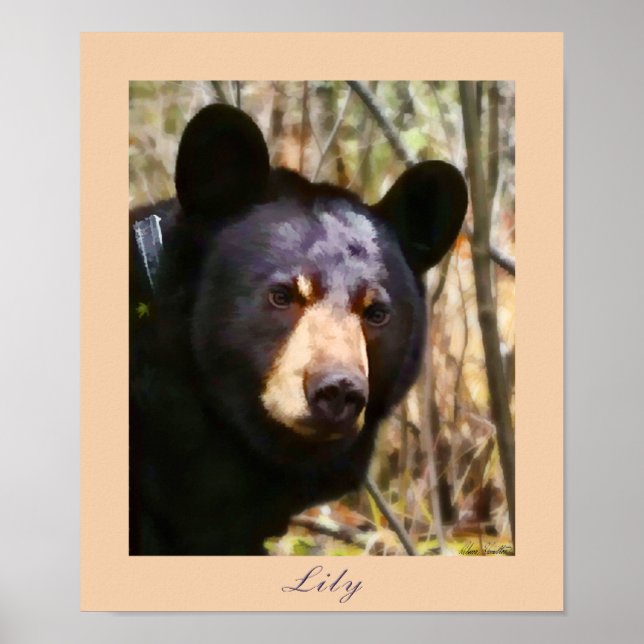 Affiches Lily, une ours noire américaine (Devant)