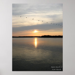 Affiches Limite de Daufuskie