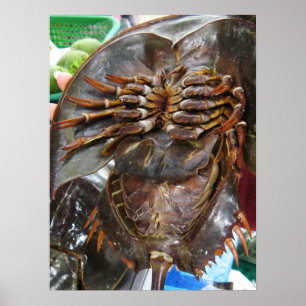 Affiches Limule ... Cuisine de rue asiatique thaïlandaise
