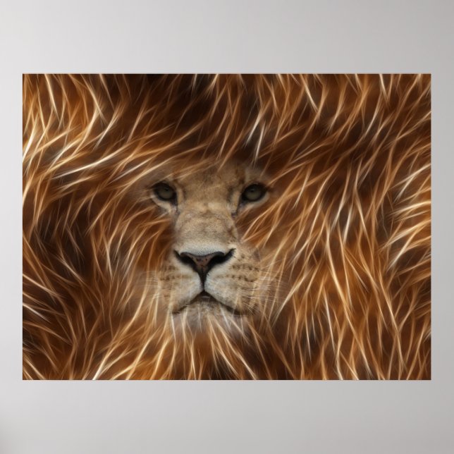 Affiches Lion Avec Poches De Cheveux Longues (Devant)