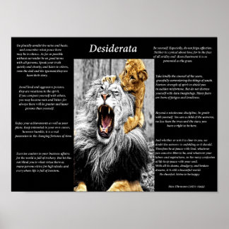 Affiches Lion Cub