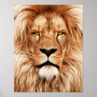 Affiches Lion Le Roi Photo Peinture