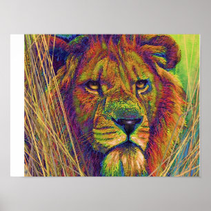 Affiches lion majestueux