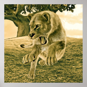 Affiches Lionne Chasseuse