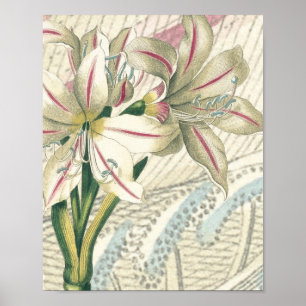 Affiches Lis avec l'élargissement