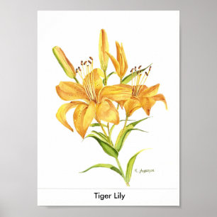 Affiches Lis tigré dans l'or et l'aquarelle jaune