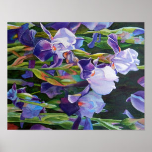 Affiches Lisa's Iris Garden