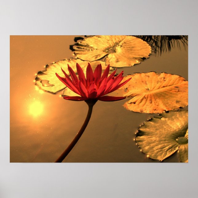 Affiches Lit d'eau radiant avec le soleil Reflétant (Devant)