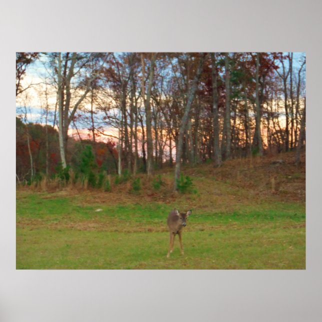 Affiches Little Deer et un SunSet rose (Devant)