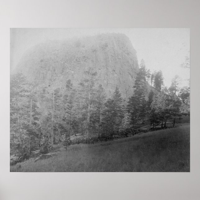 Affiches Little Missouri Butte Beyod Champ et arbres (Devant)