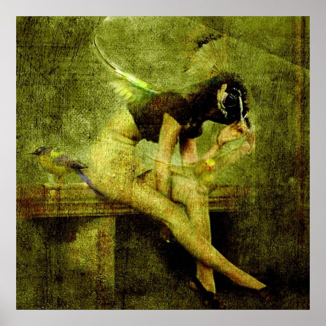 Affiches Little Wing par patrick burke (Devant)