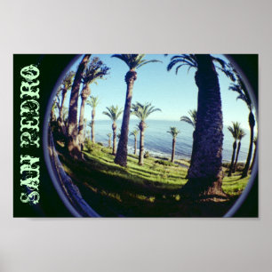 Affiches Littoral de palmiers de San Pedro d'oeil de