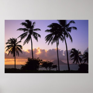 Affiches Littoral St. Kitts