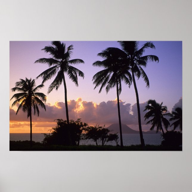 Affiches Littoral St. Kitts (Devant)