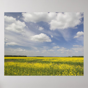 Affiches Lituanie, Lituanie, Lituanie centrale, Joniskis, c