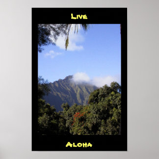 Affiches Live Aloha