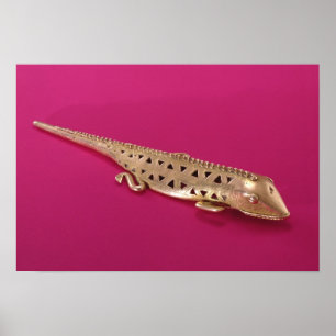 Affiches Lizard, de la Colombie