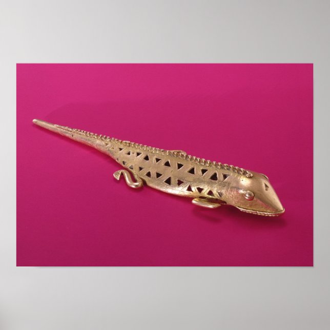 Affiches Lizard, de la Colombie (Devant)