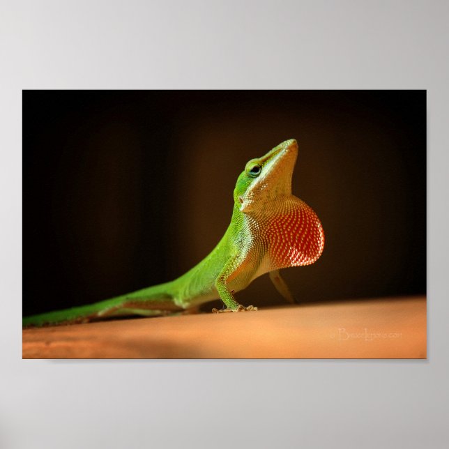 Affiches Lizard d'oignon vert avec Thraot rouge (Devant)