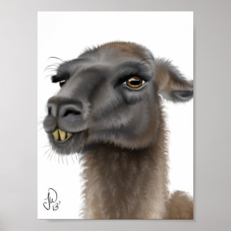 Affiches Llama