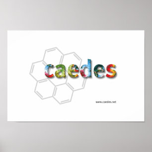 Affiches Logo Caedes.net