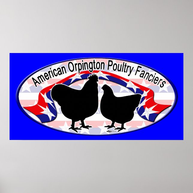 Affiches Logo Orpington Club (Devant)