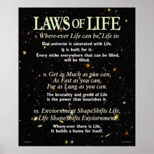 Affiches Lois de la vie