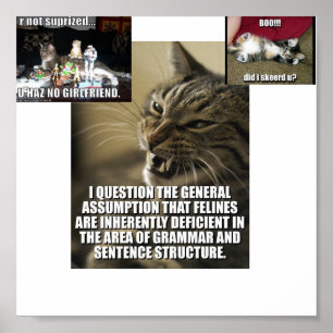 Affiches lol-catz-grève-de retour,