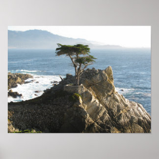 Affiches Lone Cypress dans 17 miles Drive