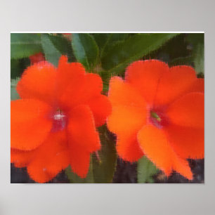 Affiches L'orange fleurit 14" x 11", le papier d'affiche