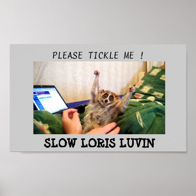 Affiches Loris Luvin (Devant)