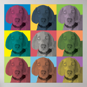 Affiches L'ornement pop-art de Weimaraner