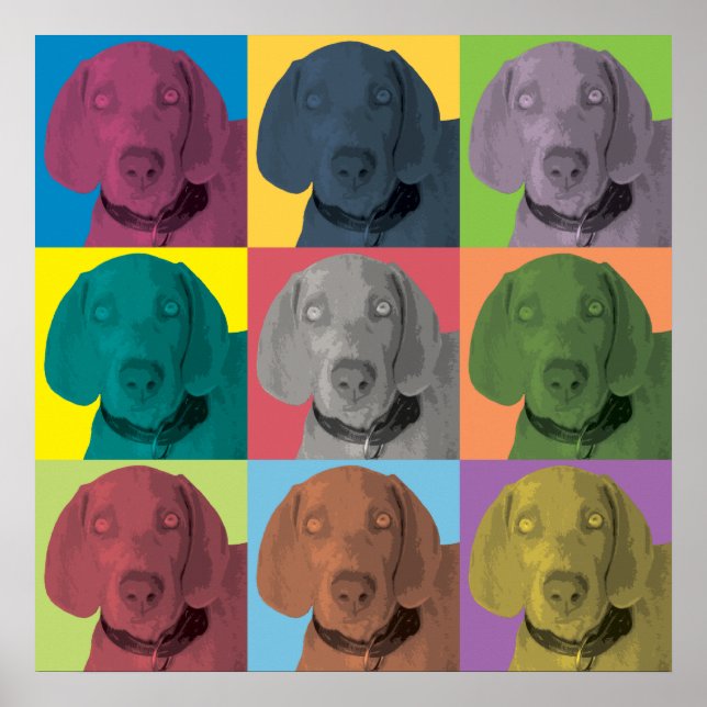 Affiches L'ornement pop-art de Weimaraner (Devant)