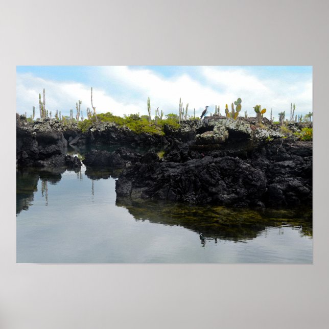 Affiches Los Tuneles dans les îles Galapagos (Devant)
