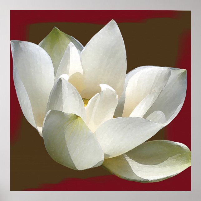 Affiches lotus1 (Devant)