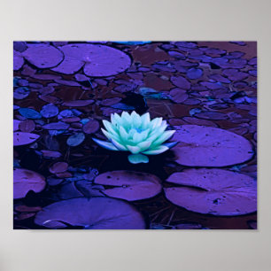 Affiches Lotus Fleur violet bleu Turquoise Floral Pond Zen