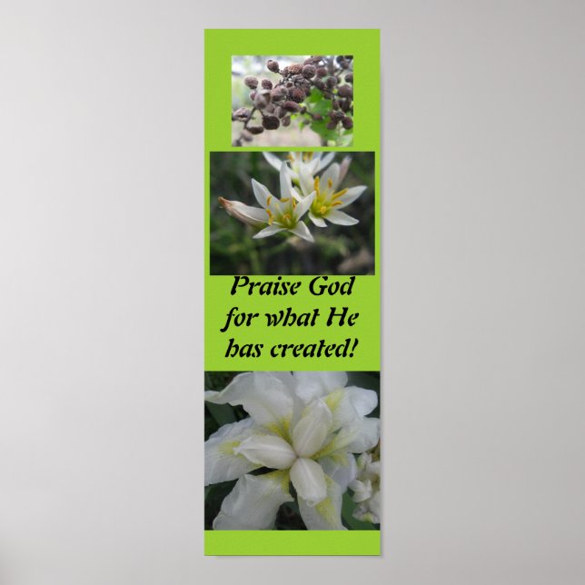 Affiches Louez Dieu pour ce qu'il a créé ! (Devant)