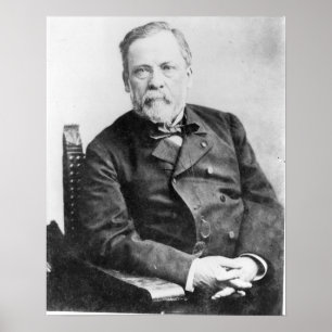 Affiches Louis Pasteur