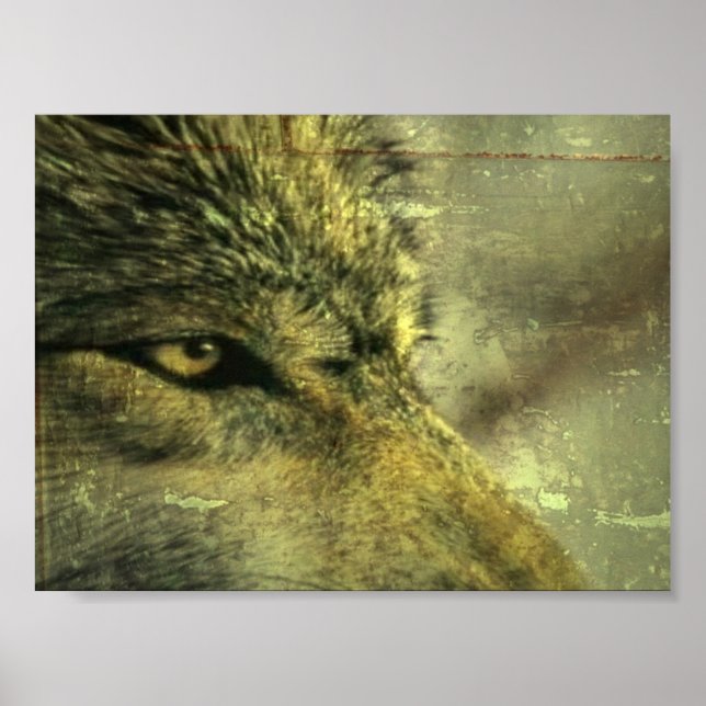 Affiches Loup (Devant)