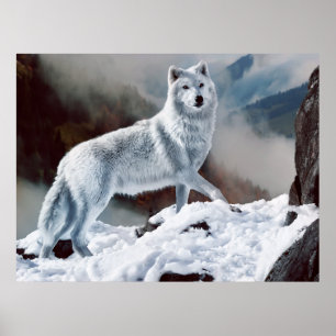 Affiches Loup arctique