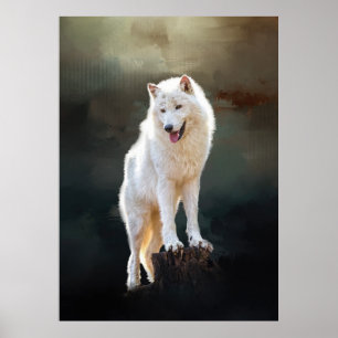 Affiches Loup arctique