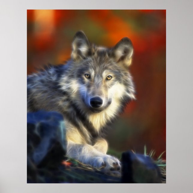 Affiches Loup gris, Espèces menacées Photographie numérique (Devant)