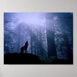 Affiches Loup Gris hurle à l'aube