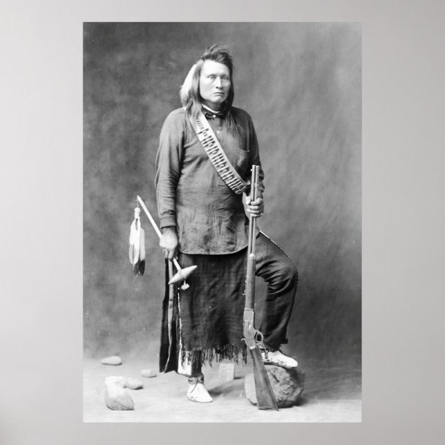 Affiches Loup jaune (Devant)